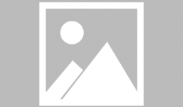 娱乐圈吃瓜元素